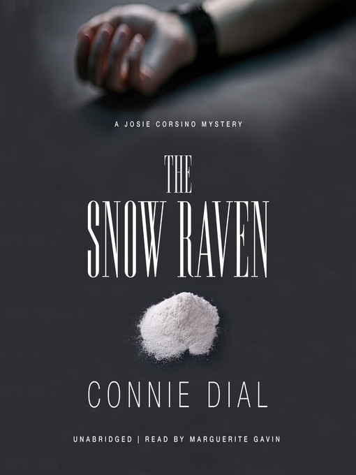 Title details for The Snow Raven by Connie Dial - Wait list